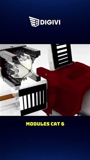 Mô phỏng quy trình lắp Modules Cat6