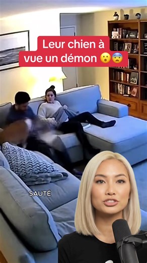 Leur chien à vue un démon #peur #horreur #horrortok #histoirevrai #trend