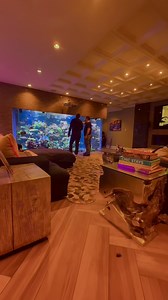 Andrew Sandler on Instagram: "Stay Tuned To See More Video Of Our Successful Clam Tank 壟爛爛爛In The Future Loaded With Ruby Red Cardinals In Quarantine Now ! Merry Christmas !! @thereefvet"