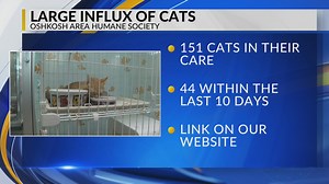 Oshkosh Area Humane Society asking for public's help, at capacity with 150+ felines