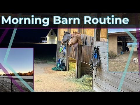 Morning Barn Routine | Feeding the Horses & Catching up around the Barn / EQUESTRIAN VLOG