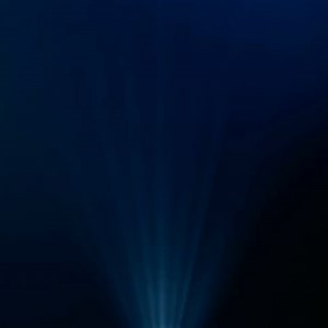 Love: It All Begins in the Brain! 🧠 Did you know that the magic of love starts right in the brain? Researchers from University College London and Rutgers University have uncovered fascinating insights into the neural origins of love. It turns out that romance isn't just a fluttery feeling—it's activated in a specific region of the brain linked to risk and reward! Reward yourself with the love of your life: https://brnw.ch/21wCxpB #lovestories #fallinginlove #truelove #matchmaking #matchmaker #f