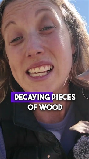 How to Fill Your Compost Bin