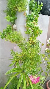 PVC Pipe से बनाएं Mini Garden| Smart Gardening Idea