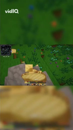 ¡ESTO ESTÁ LLENO DE BABOSAS! 🐌😱