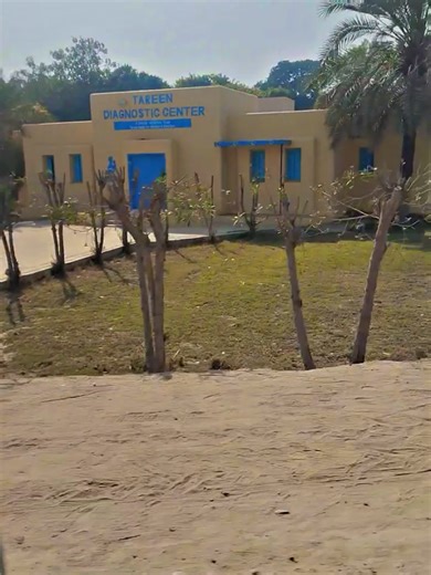 Top Trending Songs You Need to Hear Now