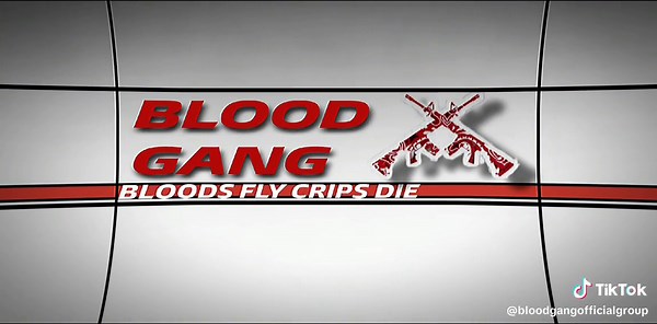 Difference Between Crips and Bloods Gangs Explained