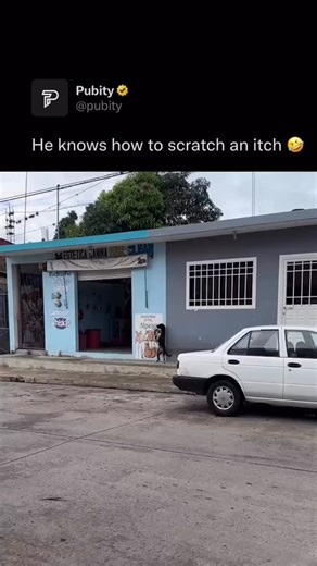 Pubity on Instagram: "😅 Itching is that tiny discomfort that somehow demands all our attention. A small tickle on the skin can turn into an irresistible urge, stealing focus and patience in seconds. It’s a reminder of how sensitive our bodies are, reacting instantly to the smallest sensations. Though annoying, itching connects us to being human — aware, responsive, and alive. That brief relief after a scratch feels oddly satisfying, like restoring balance in a moment of irritation. @karlaanghev