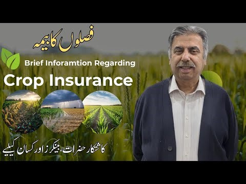 Farmers & Bankers Must Know: Crop Insurance Explained