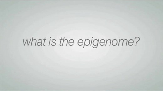 The Epigenome at a Glance
