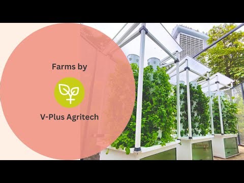 V-Plus Agritech - Building Sustainable Vertical Farms in Singapore