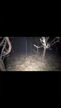 The Save File That Rewrites Itself #videogames #ghoststories