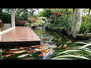 Small Garden Ideas - Cool Backyard Pond Design Ideas