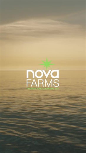 This week’s reminder: you don’t have to rush to be productive. Flow like water, steady and sure. 🌊 #WeeklyReset #NovaFarmsCT #MindfulMonday #wellnessjourney