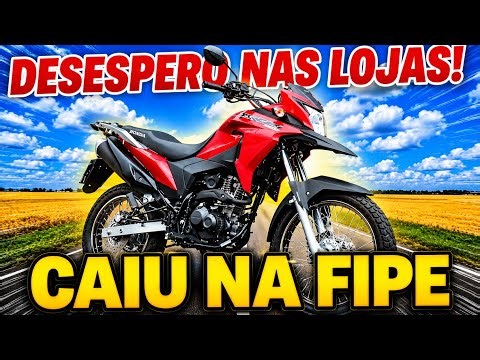 4 MOTORCYCLES WITH CRASHED RESALE VALUES THAT ARE DIRT CHEAP! 🍌