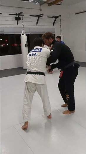 Judo vs. Jiu Jitsu #jiujitsu #judo #martialarts #grappling