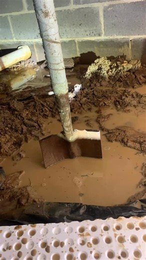 Rain like this means bad news for your crawlspace! We haven’t had rain for a good long while now, but suddenly, it’s all over our forecast. This is the type of weather that sneaks up on you…and by that, we mean it’s the type that sneaks into your crawlspace! Standing water or recurring moisture intrusion means weakening of your building materials, mold/mildew growth, and an overall unhealthy home environment. We can help! Free inspections and estimates. Yep. We don’t mind crawling down there for