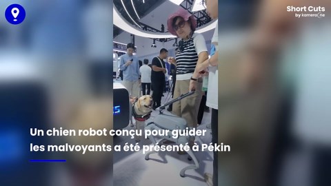 Un chien robot guide pour malvoyants dévoilé en Chine