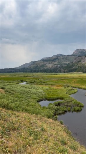 Two Ocean Pass — Parting of the Waters was declared a National Natural Landmark in 1965. The Continental Divide splits Two Ocean Creek into Atlantic Creek and Pacific Creek. Eventually Atlantic Creek hits the Atlantic Ocean and Pacific Creek hits the Pacific Ocean. This is one of few places in America where a single stream divides and drains into two different oceans. #twooceanpass #partingofthewaters #tetonwilderness #bridgertetonnationalforest #atlanticcreek #pacificcreek #atlanticocean #pacif