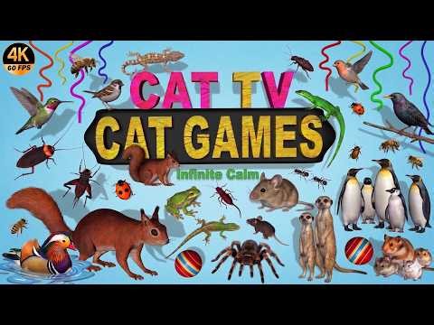 CAT GAMES – Catching🐭🦎🐦🐸🪳🐿️🐒🦆! Ultimate 3D CAT TV for Cats😻 | 8 HOURS 4K60FPS | Infinite Calm