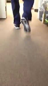 1.2K views · 61 reactions | Bouncy gait. Yesterday we talked about...