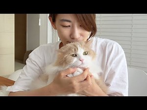 Meet My Biggest Boy DD! (ENG SUB)