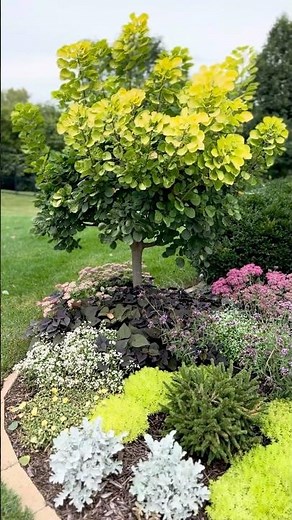 A Colorful Garden Glows with Autumn Sedum