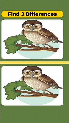 QUICK FIND! 🔍 Spot it in 10 Seconds! 😱 #SpotTheDifference #Shorts