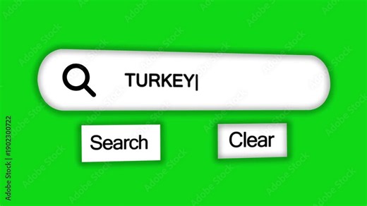 Online search bar interface showing the country name TURKEY with a magnifying glass symbol and clickable search and clear buttons against a vivid