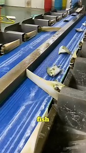 846K views · 2.8K reactions | Fish Cleaning and Checking Process #SeafoodProcessing #CleanAndSorted #FishQualityControl | Ogunquit, Maine Oceanfront Rentals | Facebook