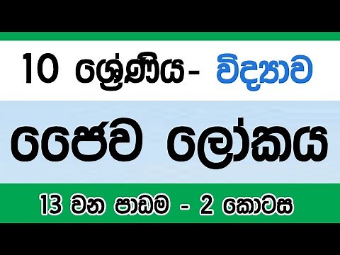 Grade 10 Science in Sinhala ජෛව ලෝකය සරලව | Lesson 13 | Part two