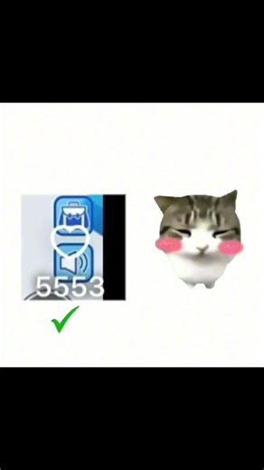 だんだんビリビリ# #cat #猫 ミーム#だんだんびりびり
