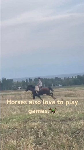 The most realistic horse games.🐎 #HorseGames#RealisticGames#HorseSimulator#EquestrianGames #shorts