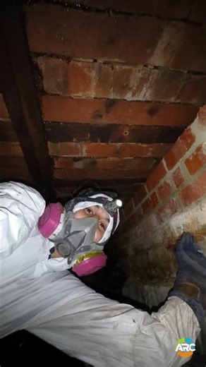 MOLD DAMAGE Before & After - ARC Water Damage