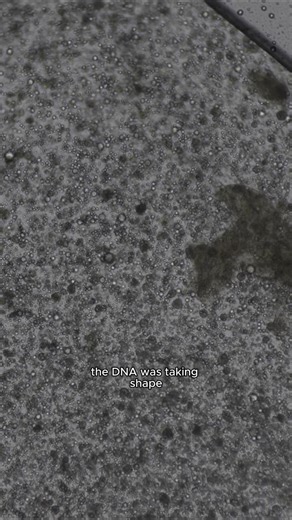 Cloning A Beautiful Homeless Man! | Coby Persin