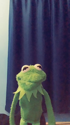 Kermit-Inspired Plush Toys in Fun Interactions