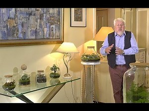 PLANTS AND GARDENS IN TERRARIUMS FOR THE HOME