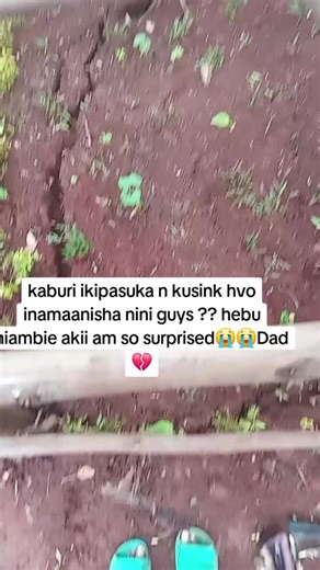 Fine gurl❤️🦋 (@missalfonce)’s videos with Creepy and simple horror background music(1070744) - howlingindicator