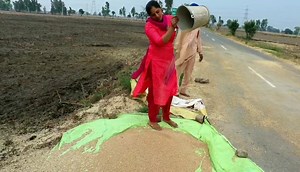 14K views · 176 reactions | Taaji ਤੇ Thandi Hawa in khet | North-Indian Cooking | Facebook