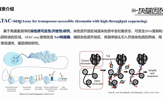 【20220922】【单细胞ATAC简介】