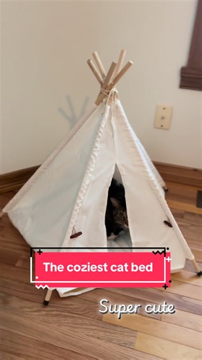 The cutest cat bed by far! Gus loves crawling in his super cute and chic tp cat bed. It’s washable and durable to withhold kitty’s and large enough to fit a few cats nicely if you have multiple cats. Highly recommend! #cat #catsoftiktok #cutecat #funnycat #kitten @The Cat Ladies