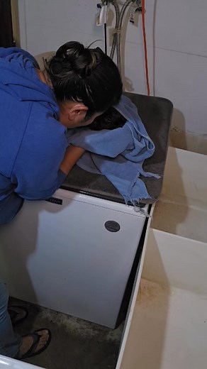 Goose and his bath time. Divine and Bear litter. Reserved. | Green Acre Labs LLC