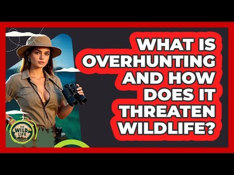What Is Overhunting And How Does It Threaten Wildlife? - The Wild Life Explorer
