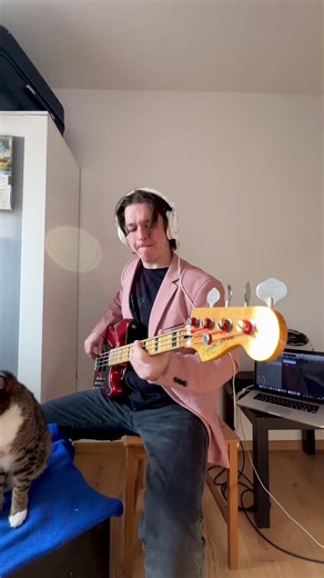 Bass cover of September by Earth, Wind & Fire.#basscover #september #earthwindandfire #bassgroove