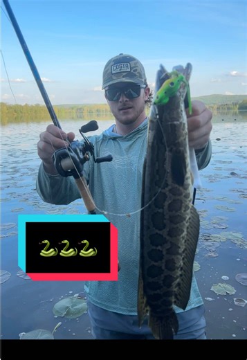 Exciting Snakehead Fishing Techniques For Beginners