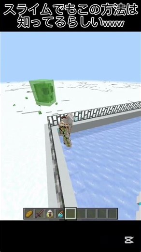 【マイクラ】スイラムでも知ってるらしい♯統合版（Switch版）♯ #マイクラ #マインクラフト #minecraft