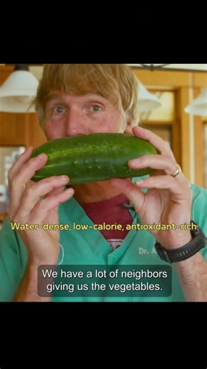 Top 7 Veggies For Dogs That Boost Your Dogs Health | Part 3 | CUCUMBER Water-dense, low-calorie, antioxidant-rich. #doghealth #veggiesfordogs #healthydogfood #dogdiet #dognutrition #naturalpetcare #healthydogs #doglover #pethealth #dogwellness #dogtips #dogparents #healthypets #dogfeeding #dogowners #holisticpetcare | Daily Pet Tips