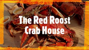2.3K views · 63 reactions | We are so excited to be back open! Join us every Wednesday-Friday at 4pm and Saturday and Sundays at NOON! Come fill your bellies with all you can eat Crabs, Shrimp, Snows, Fried chicken, hush puppies, fries, clam strips, and fried shrimp! See you soon! (Currently not taking reservations, seating guests as they arive!) (Masks required until seated at your table.) | The Red Roost | Facebook