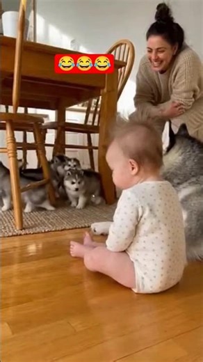 Baby Tries to Howl with Husky | Baby & Husky Awoo Challenge | Who Howls Better?