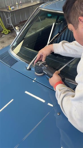 Removing oxidation off paint #carmaintenance #autodetailing #paintcorrection #detailing